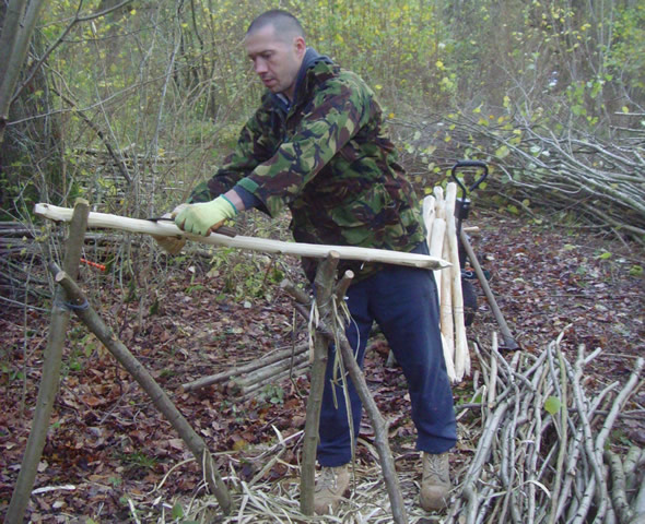 Coppicing Course