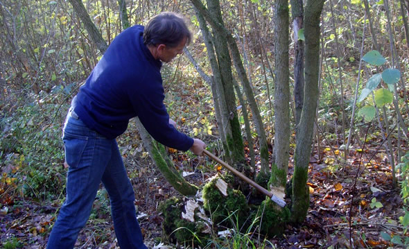 Coppice Management Course