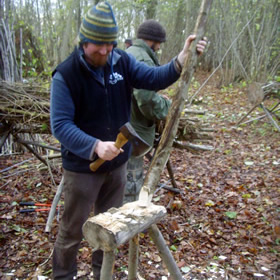 Woodland Coppice