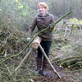 Woodland Coppice