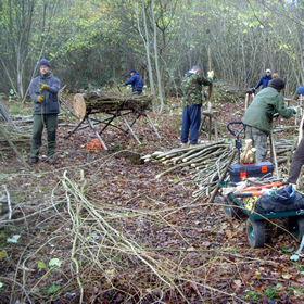 Coppicing in Hales Wood
