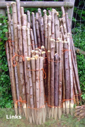 coppice design links