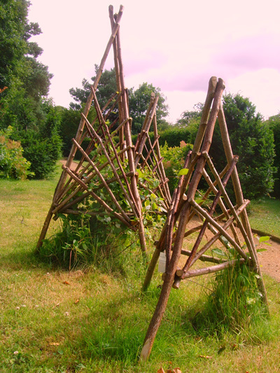 hazel obelisks
